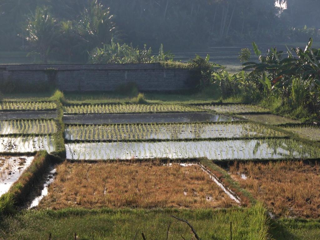 Villa Kawan Tanah Lot Pokoj fotografie
